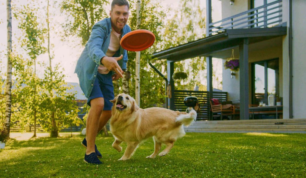 pet friendly apartment retreat river park